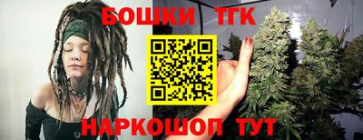 индика Конаково