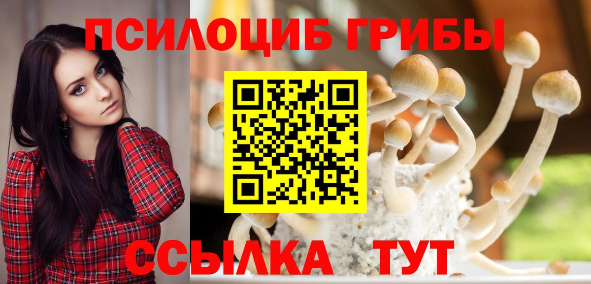 Еманжелинск  купить наркоту  Вход с VPN  Галлюциногенные грибы мицелий 